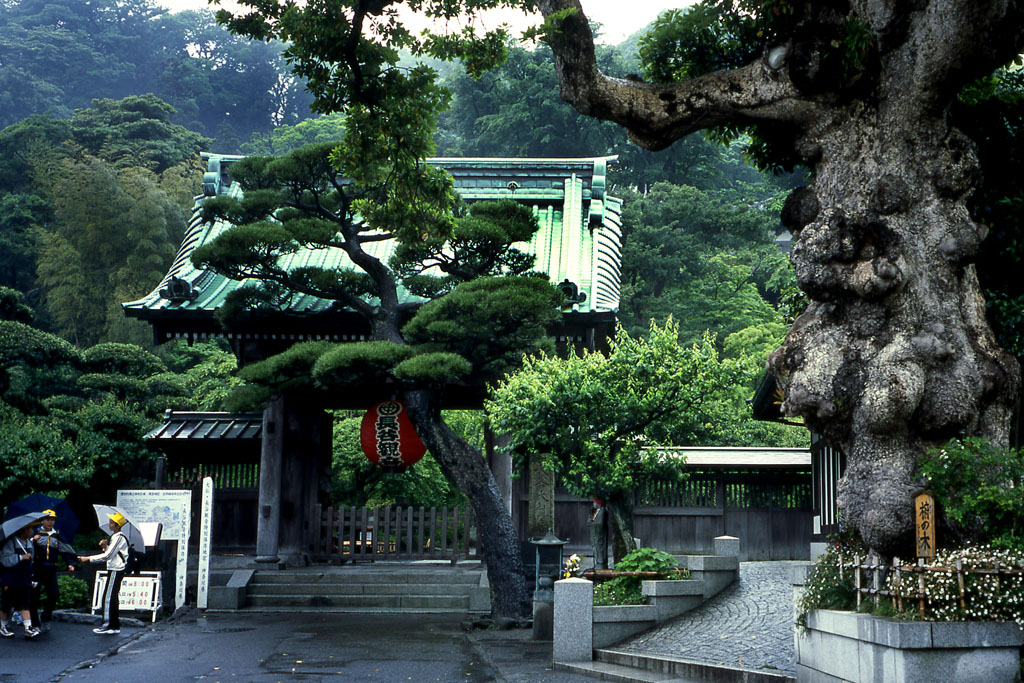 Japonsko - zahrada chramu bohyne Kanon